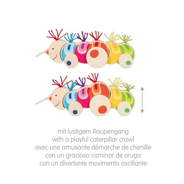 Ziehtier Raupe Papilio